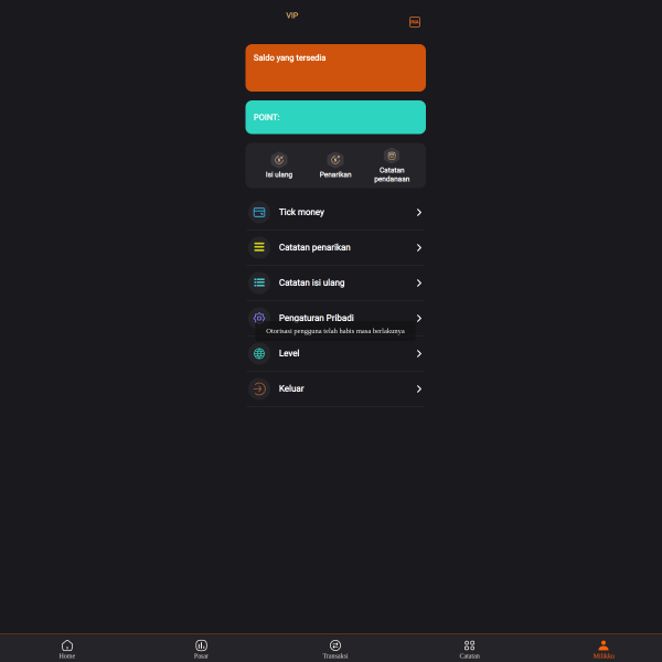 Screenshot www.native-idn.com