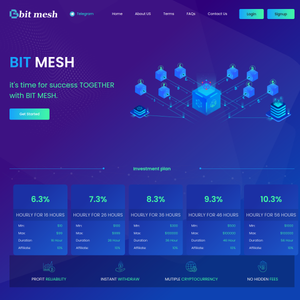  bitmesh.top screen