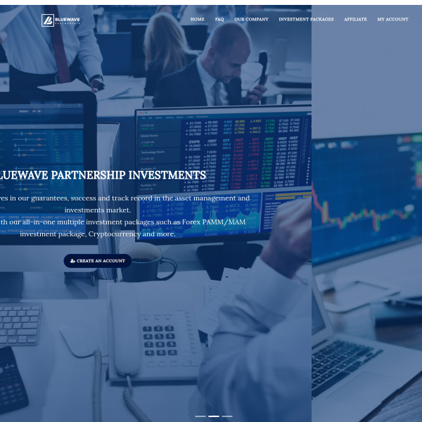  bluewavepartnership.com screen