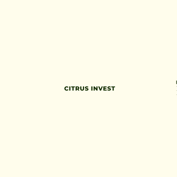  citrusinvest.com screen