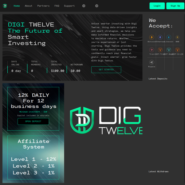  digi-twelve.com screen