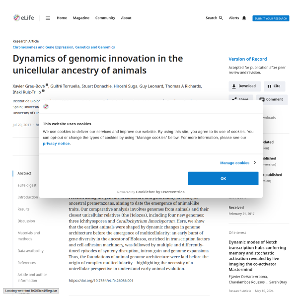Dynamics of genomic innovation in the unicellular ancestry of animals