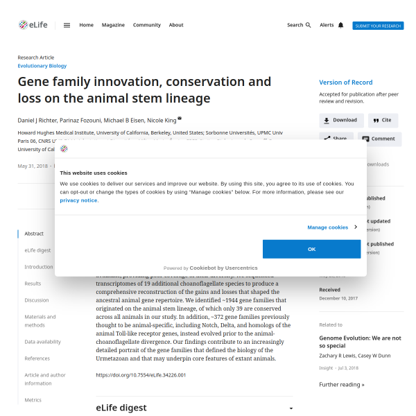 Gene family innovation, conservation and loss on the animal stem lineage