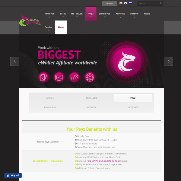  ewallet-optimizer.com screen