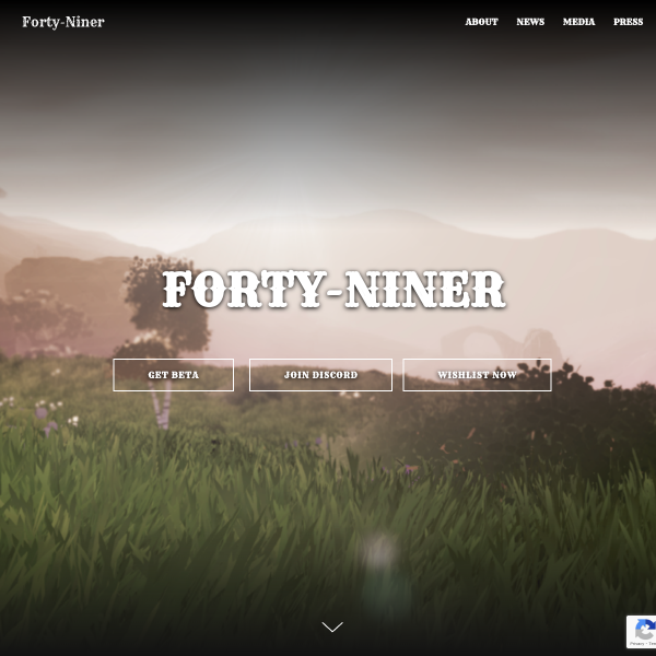  forty-niner.net screen