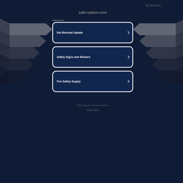  safe-option.com screen