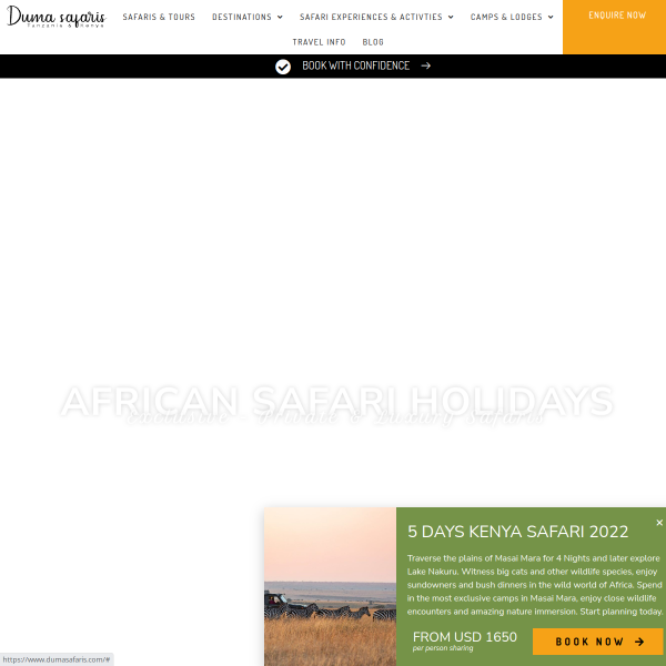 African Safari Holidays
