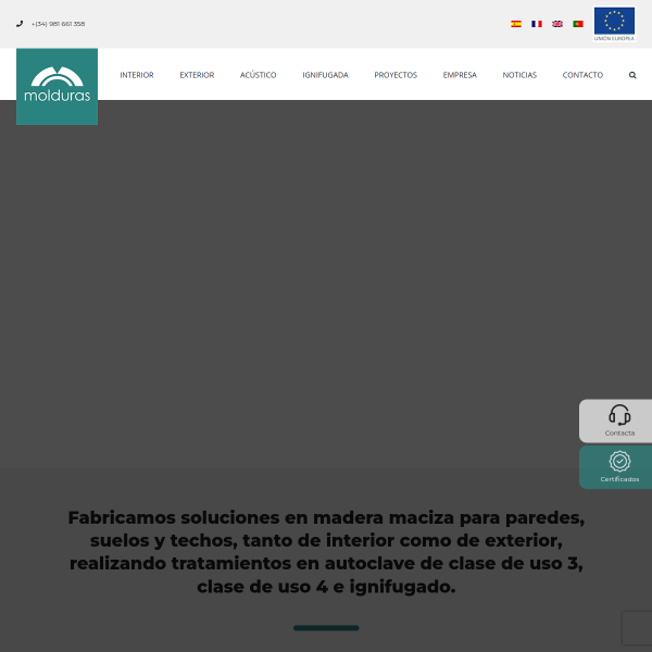 Vista mini Web: https://www.grupomolduras.com