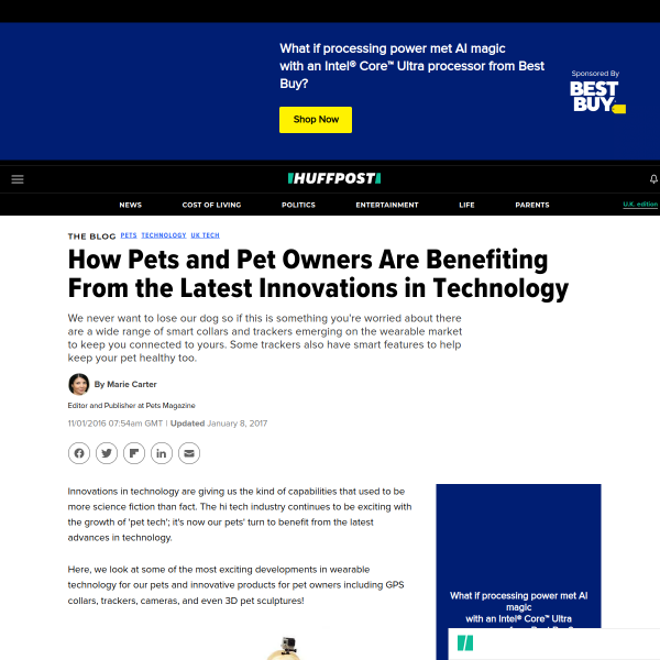 How Pets and Pet Owners Are Benefiting From the Latest Innovations in Technology