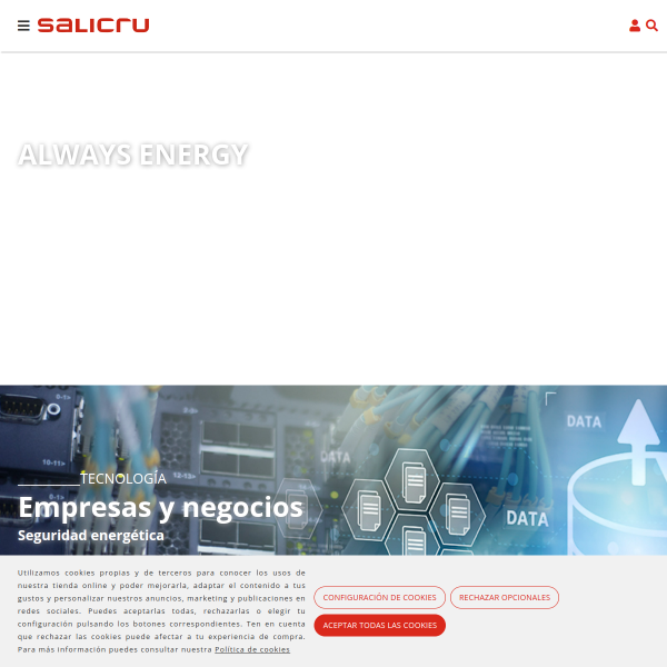 Vista mini Web: https://www.salicru.com