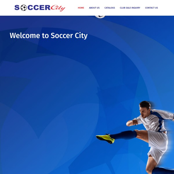 Website screenshot for Soccer City Natomas Sacramento
