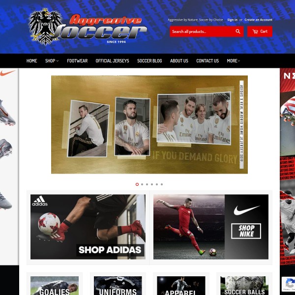Website screenshot for Aggressive Soccer Santa Barbara