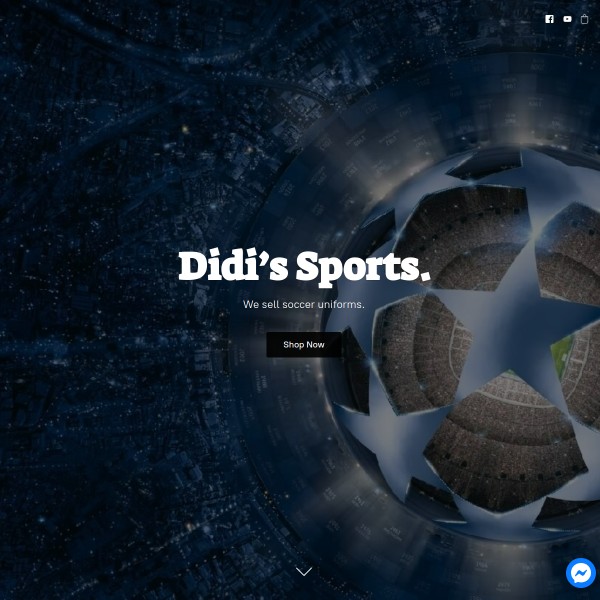 Website screenshot for Didi's Sports Houston
