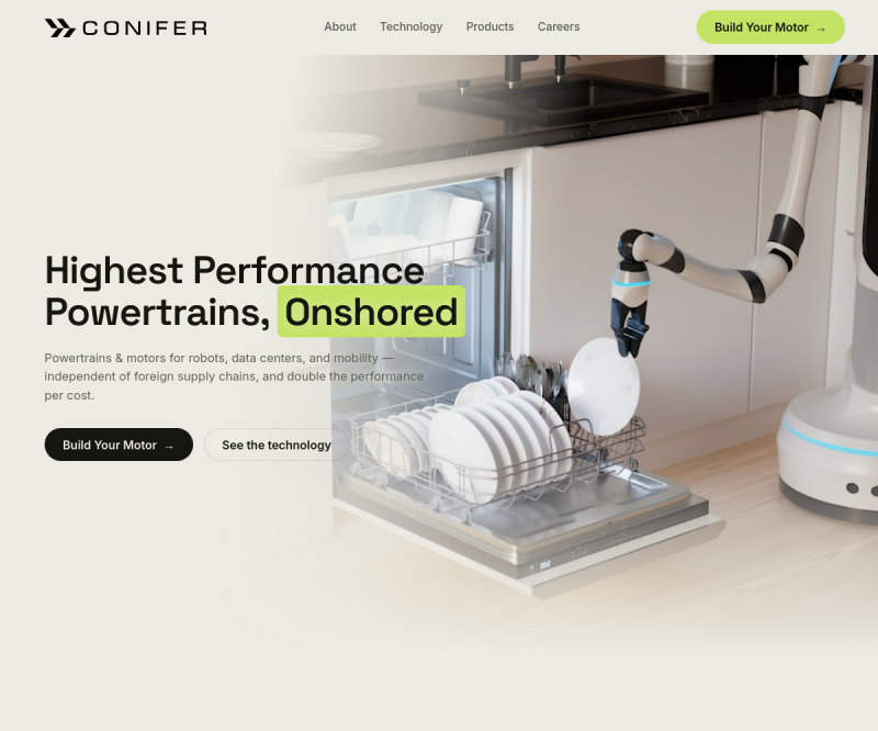 Conifer