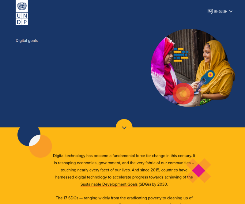UNDP Digital Goals