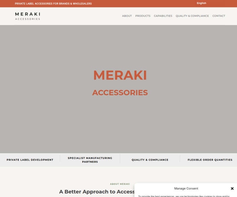 Meraki Accessories