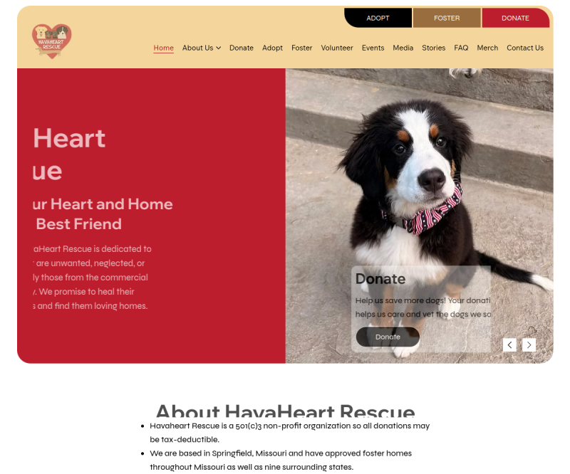 HavaHeart Rescue