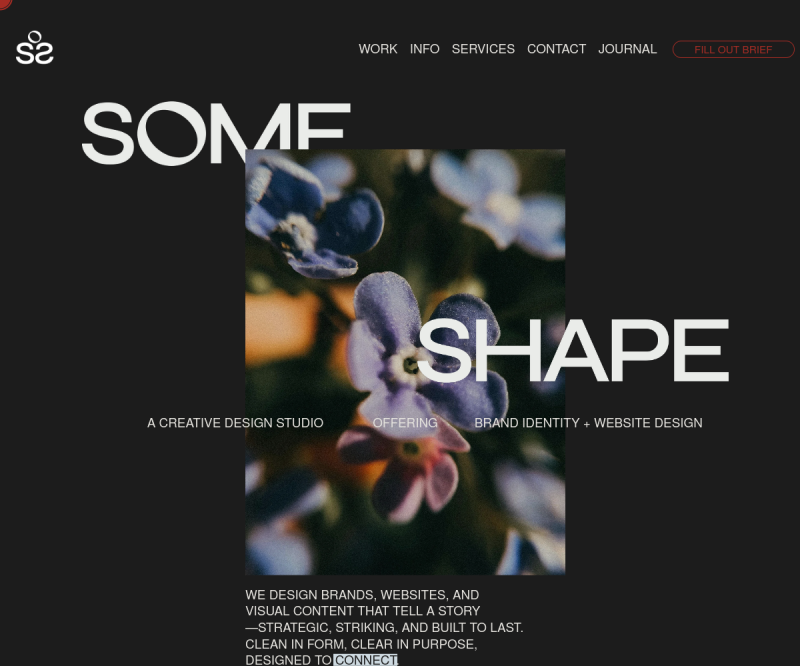 Some Shape Studio