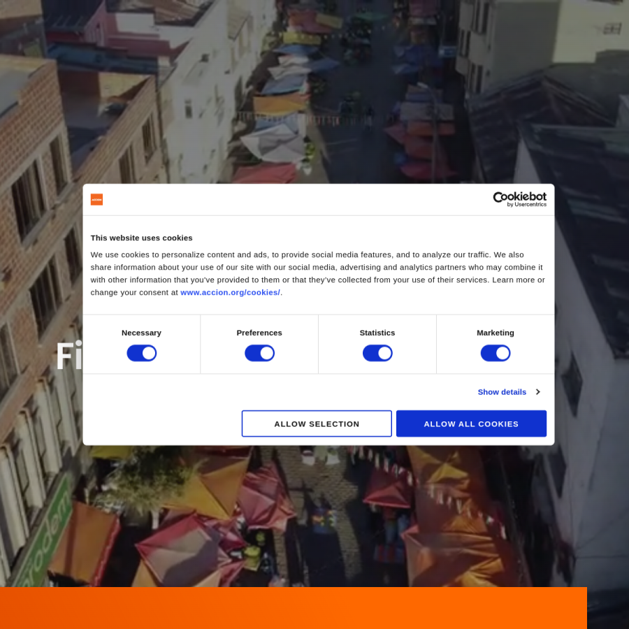accion.org homepage screenshot