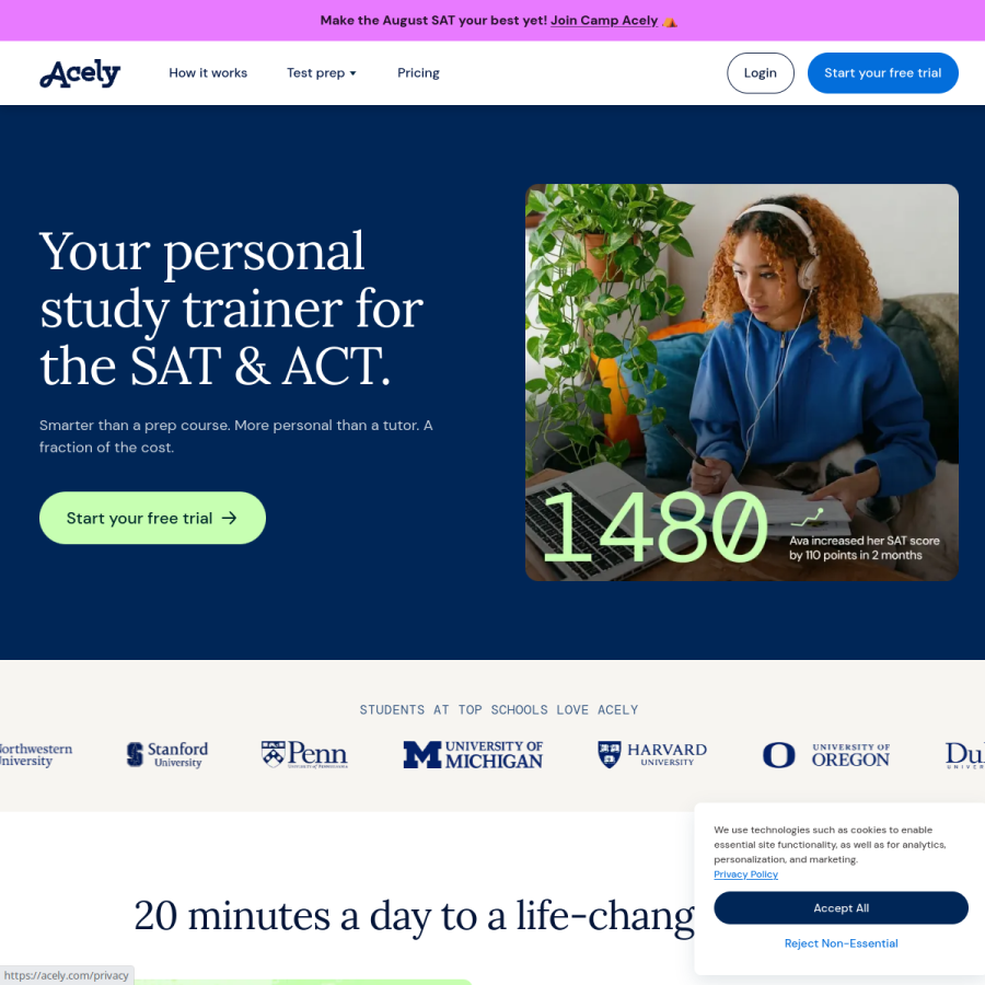 acely.com homepage screenshot