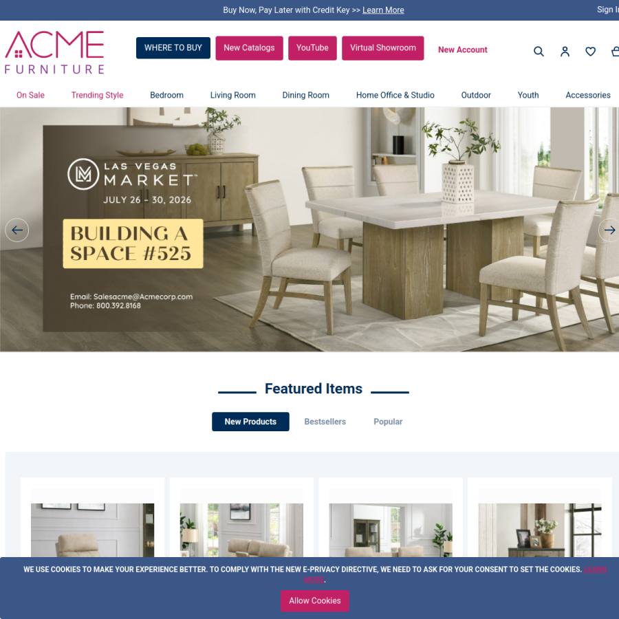 acmecorp.com homepage screenshot