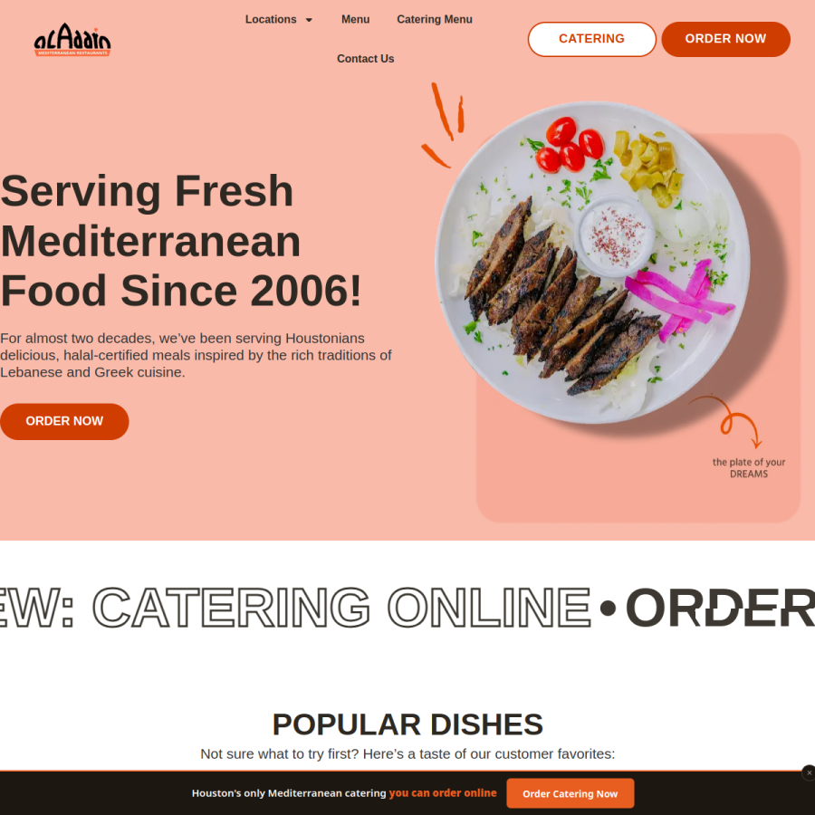 aladdinshouston.com homepage screenshot