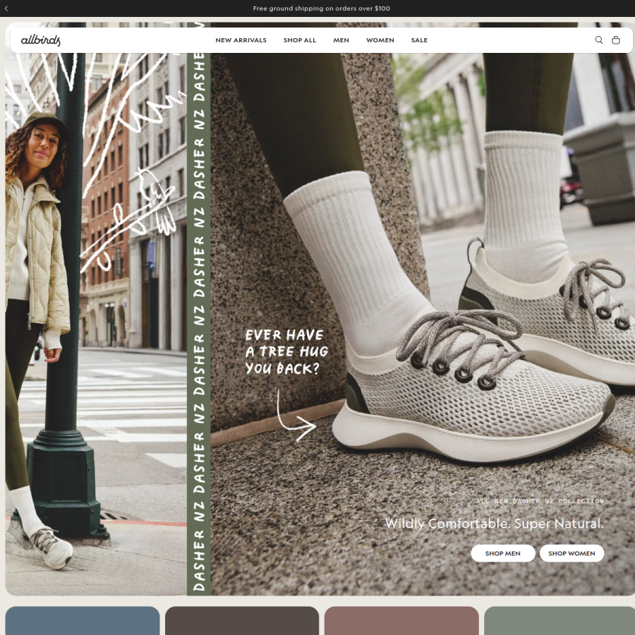 allbirds.com homepage screenshot