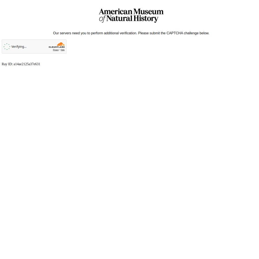 amnh.org homepage screenshot