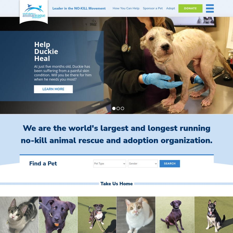 animalleague.org homepage screenshot