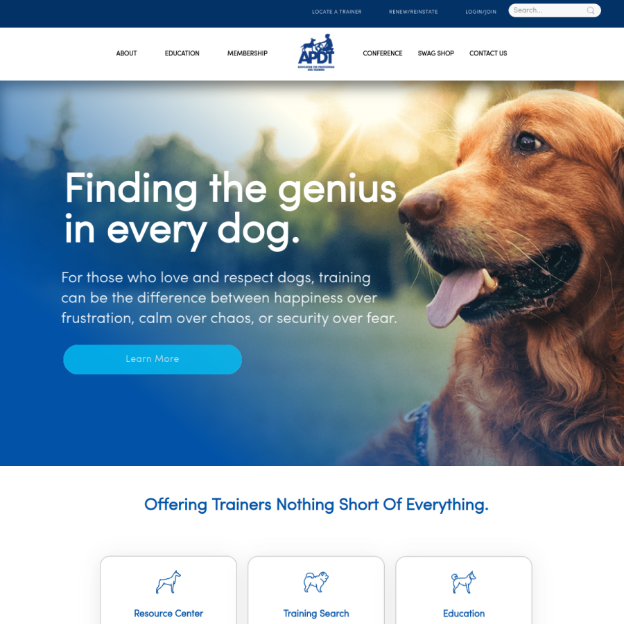 apdt.com homepage screenshot