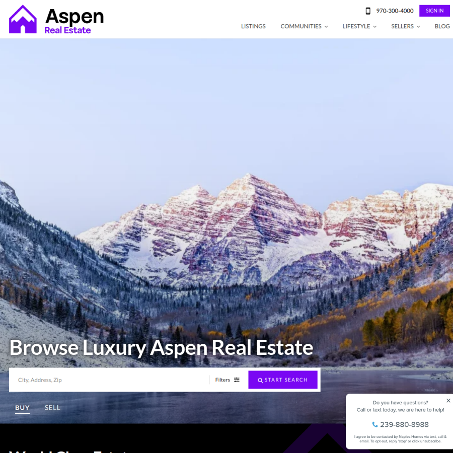 aspen.realestate homepage screenshot