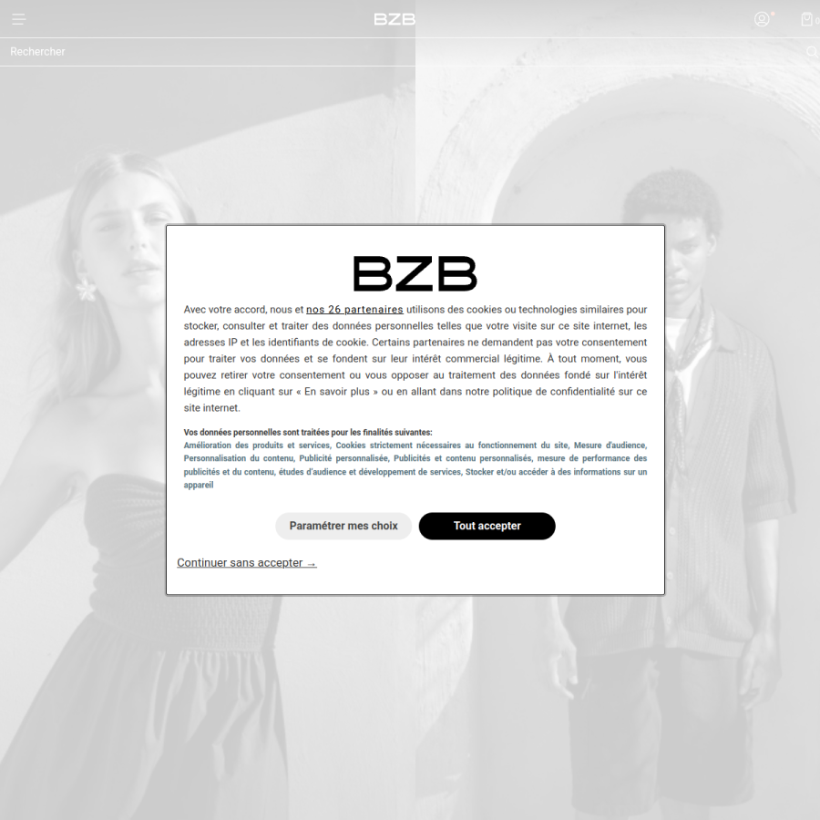 b-z-b.com homepage screenshot