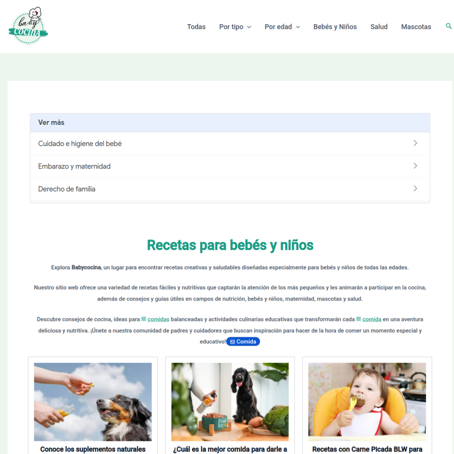 babycocina.com homepage screenshot