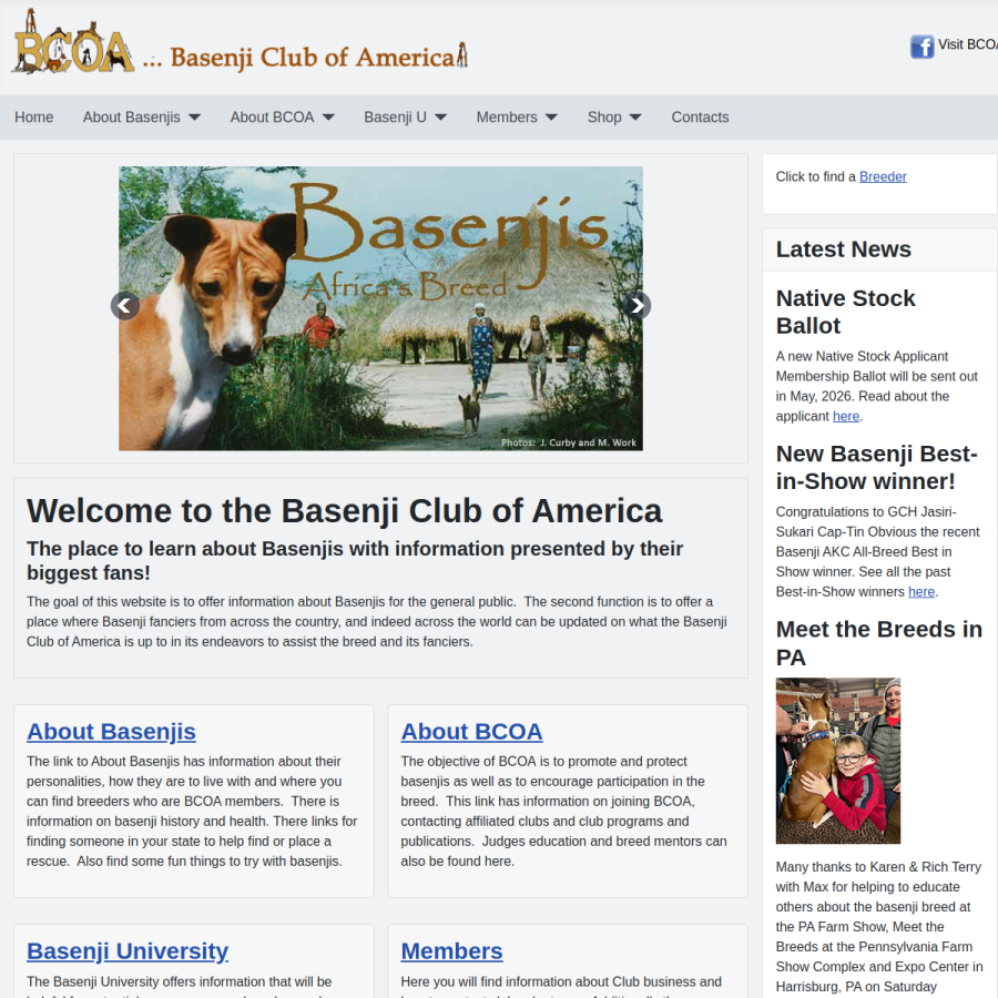 basenji.org homepage screenshot