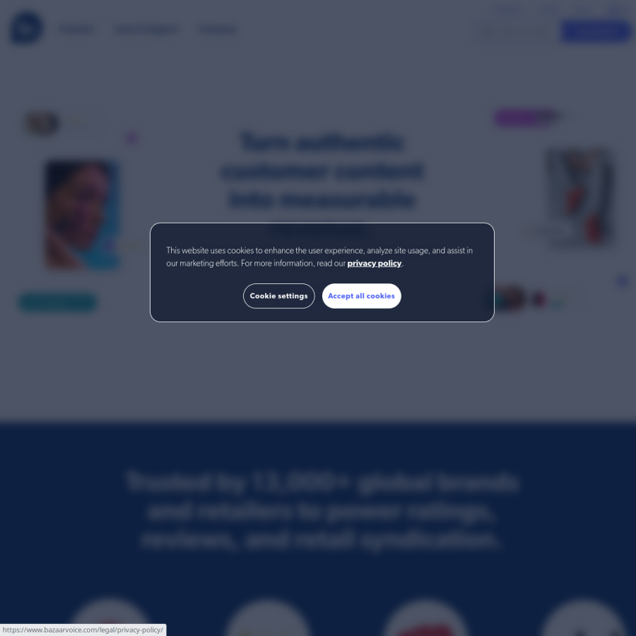 bazaarvoice.com homepage screenshot