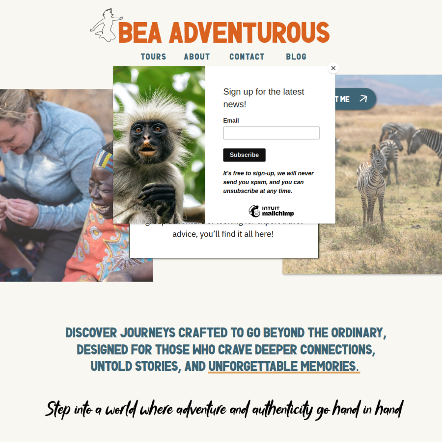 bea-adventurous.com homepage screenshot