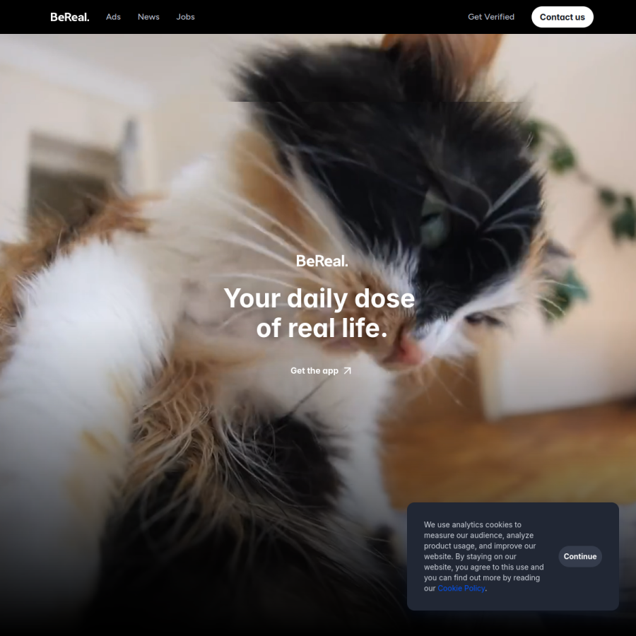 bere.al homepage screenshot