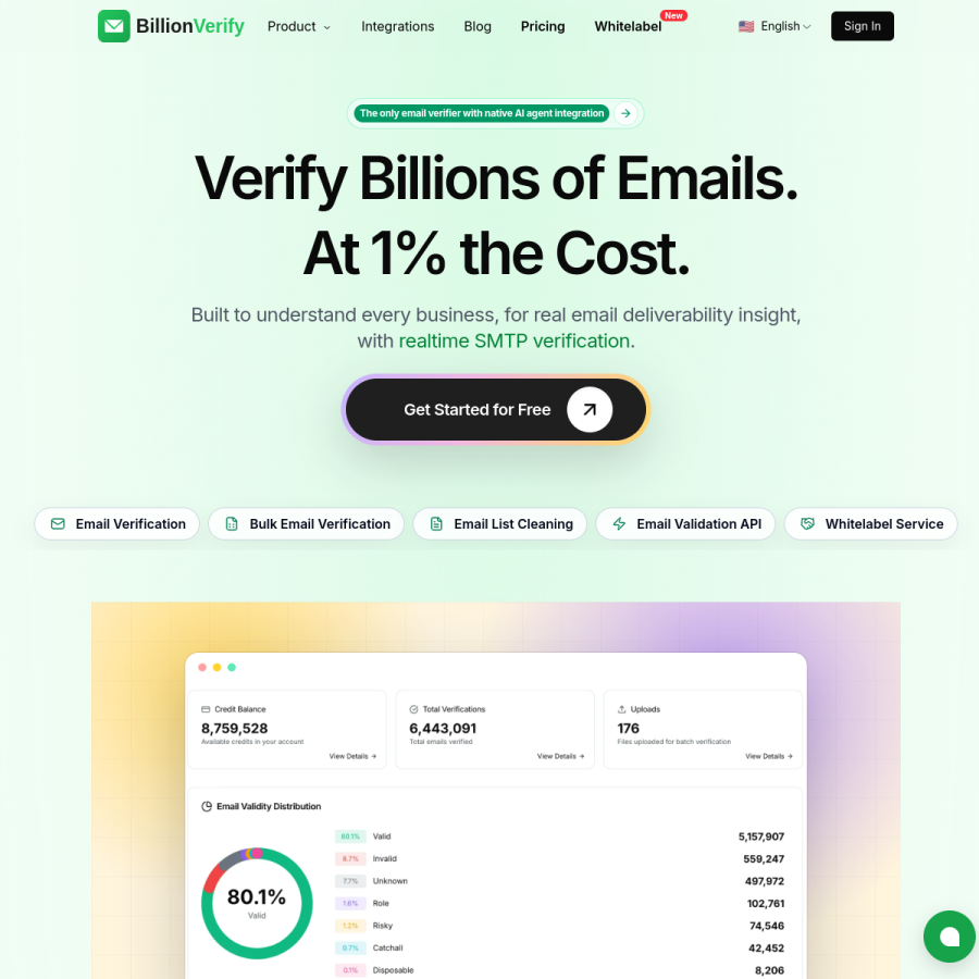 billionverify.com homepage screenshot