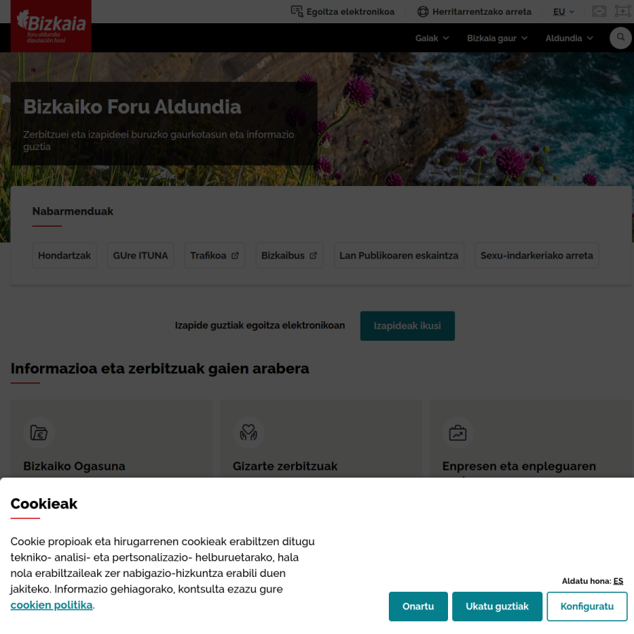 bizkaia.eus homepage screenshot