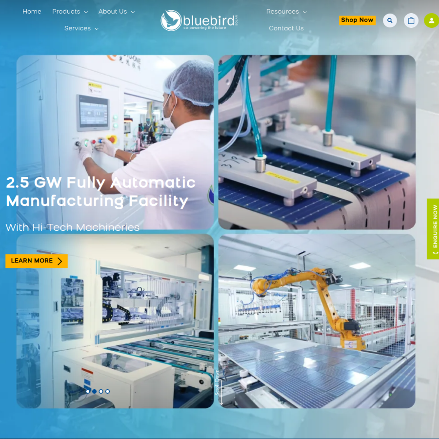 bluebirdsolar.com homepage screenshot