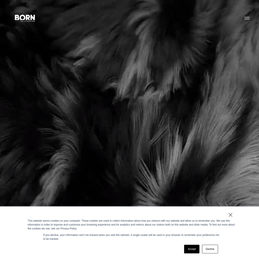borngroup.com homepage screenshot