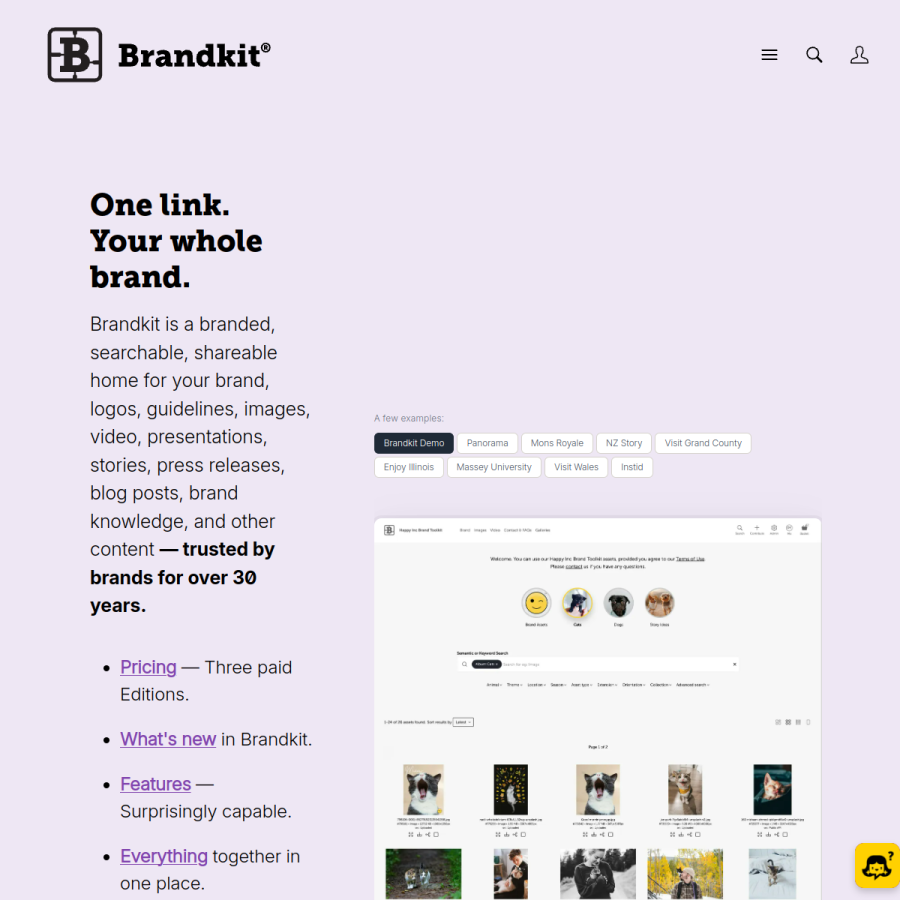 brandkit.com homepage screenshot