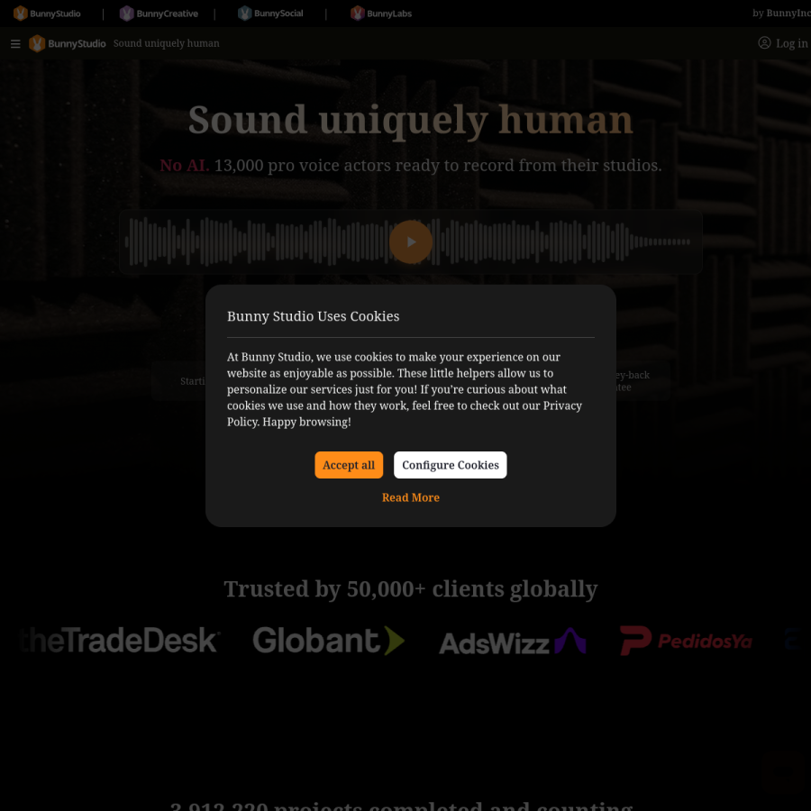 bunnystudio.com homepage screenshot