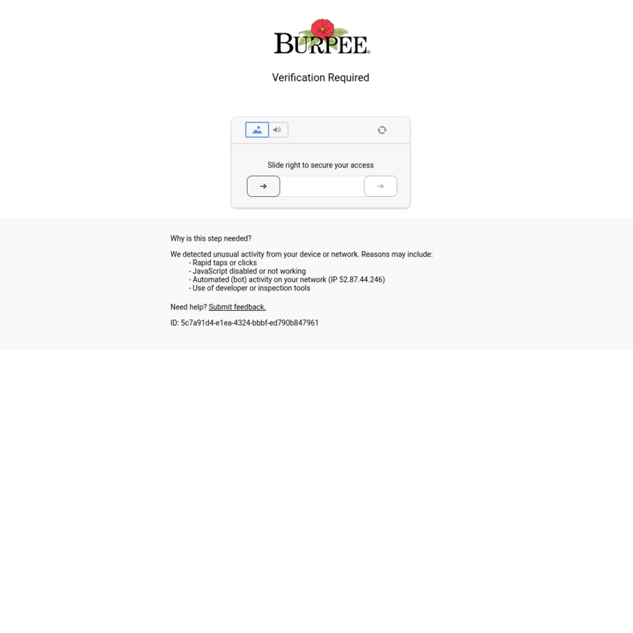 burpee.com homepage screenshot