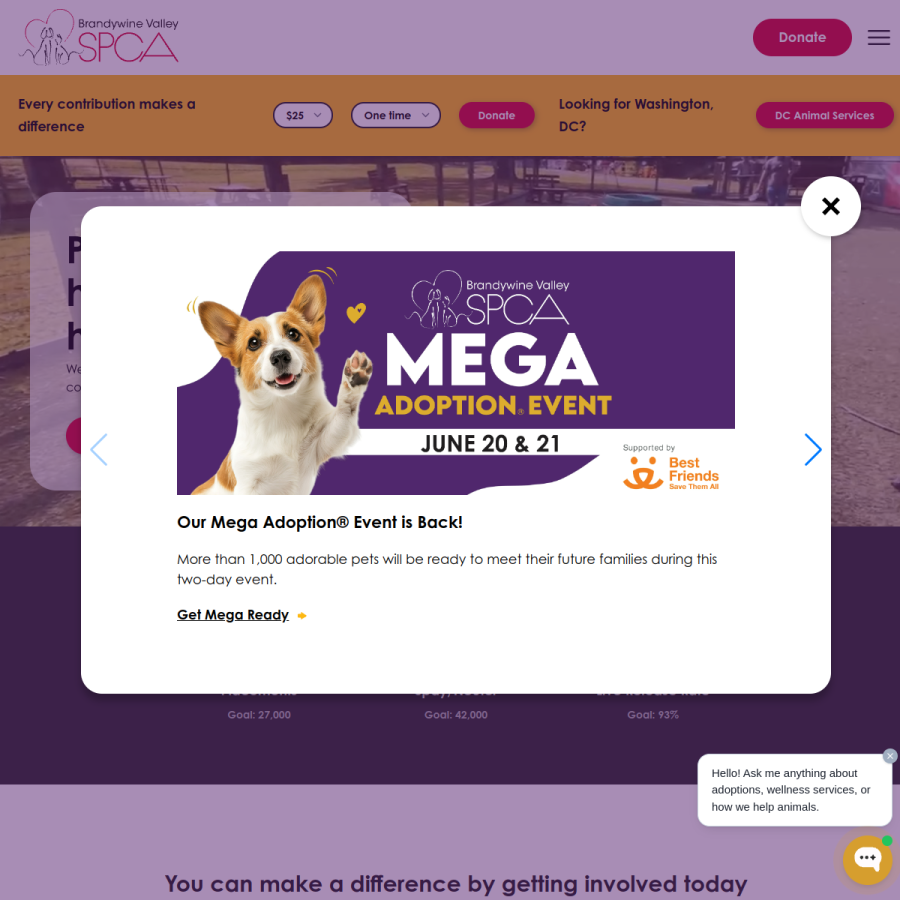 bvspca.org homepage screenshot