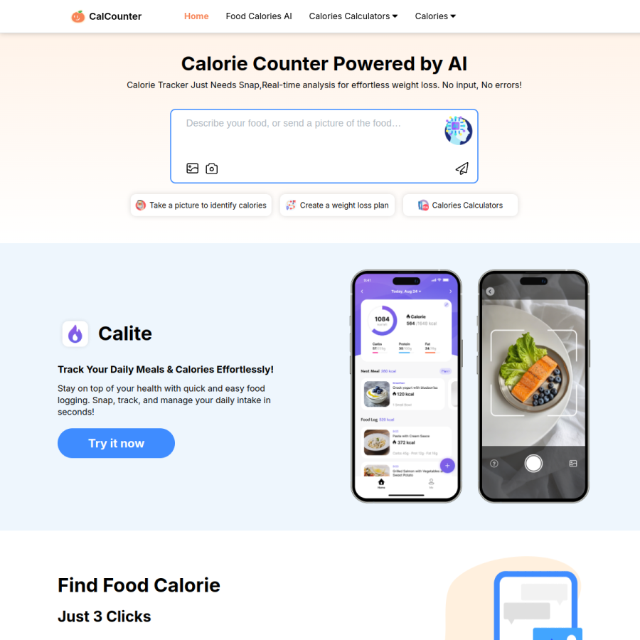 calcounter.com homepage screenshot