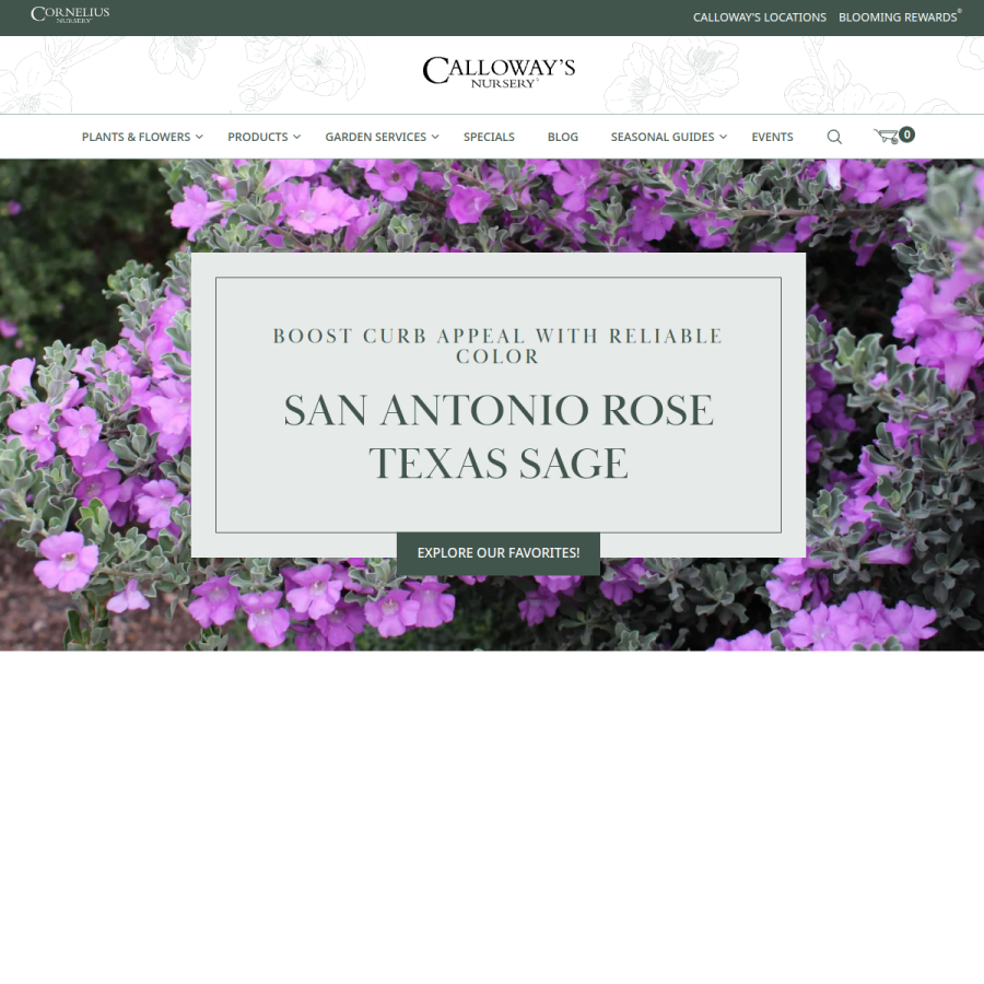 calloways.com homepage screenshot