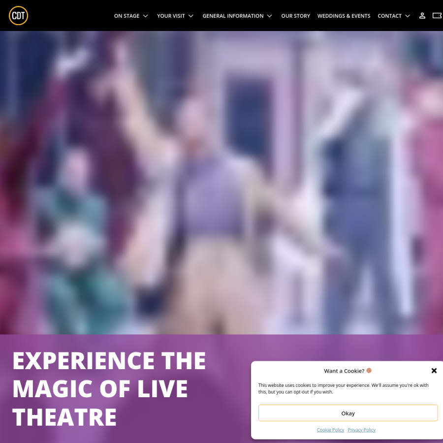 chanhassendt.com homepage screenshot