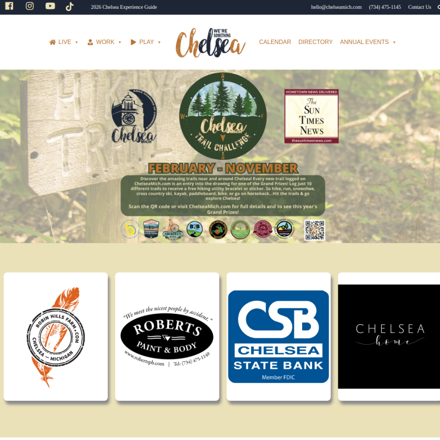 chelseamich.com homepage screenshot