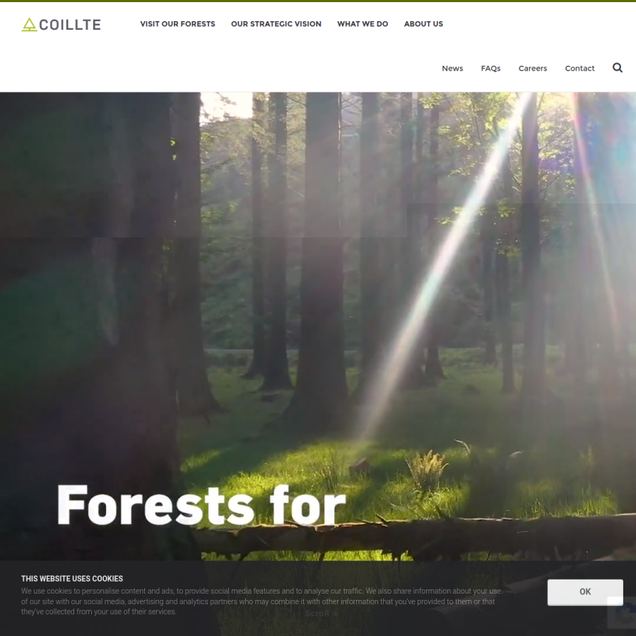 coillte.ie homepage screenshot